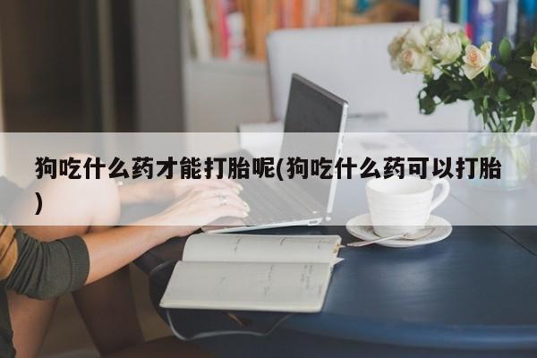 流产药怎么购买狗吃什么药才能打胎呢(狗吃什么药可以打胎)