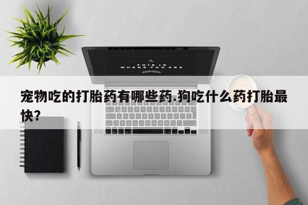 流产药怎么购买宠物吃的打胎药有哪些药.狗吃什么药打胎最快？