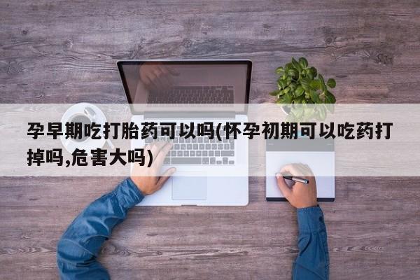 流产药怎么购买孕早期吃打胎药可以吗(怀孕初期可以吃药打掉吗,危害大吗)